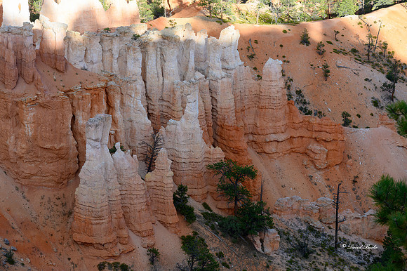 Bryce Canyon NP Oct 2020-26