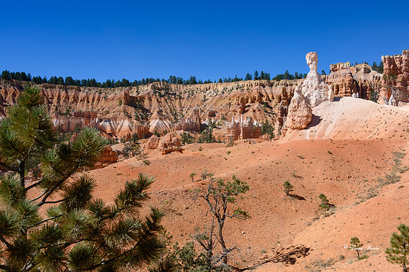 Bryce Canyon NP Oct 2020-20