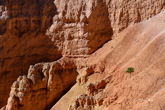 Bryce Canyon NP Oct 2020-16