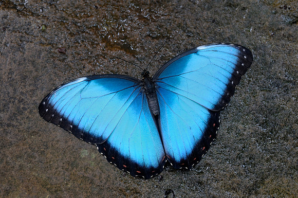 _DSC1353
