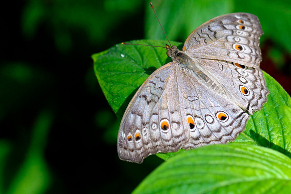 _DSC3120