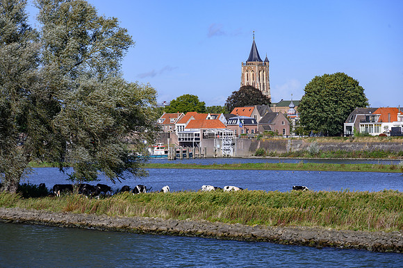 Kinderdijk 2021-3