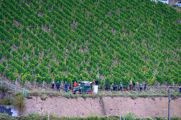 Ride to Koblenz 2021-2