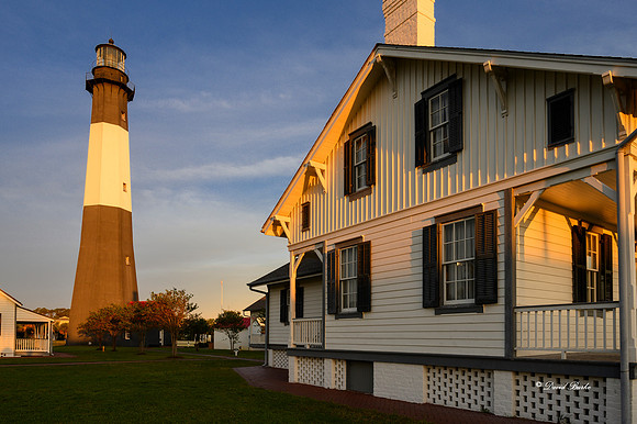 Savannah 2019-8