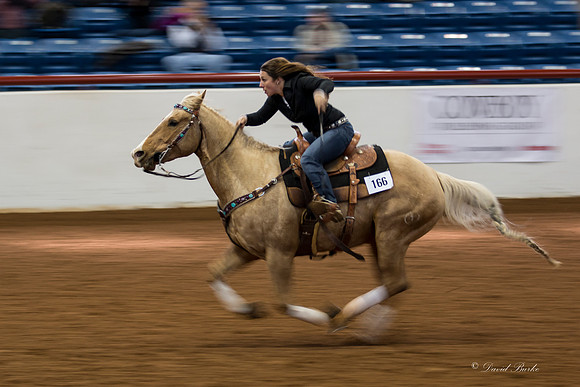 Stock Show 2-3-15-37