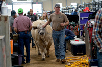 Stock Show 2019-16