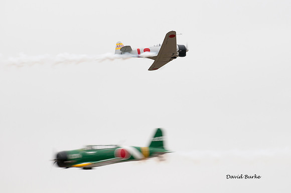 _DSC4850