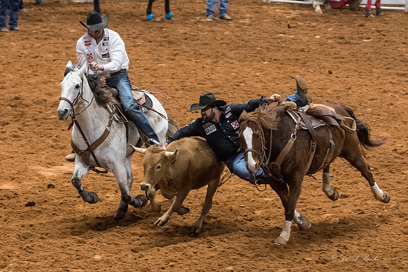 Stock Show 2018-17