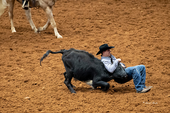 Stock Show 2019-30