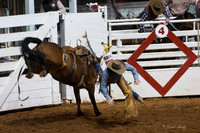 2014 Stock Show Rodeo-54
