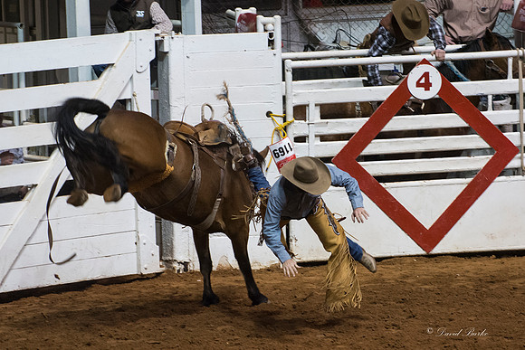2014 Stock Show Rodeo-54