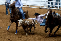 Stock Show 1-27-17-26