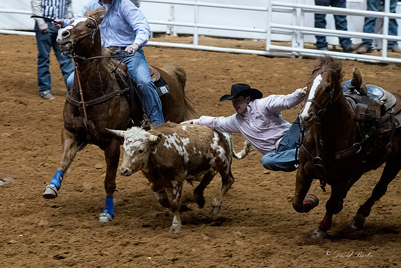 Stock Show 1-27-17-26