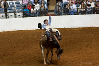 2014 Stock Show Rodeo-15