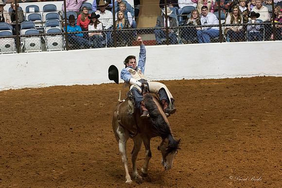 2014 Stock Show Rodeo-15