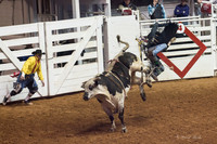 2014 Stock Show Rodeo-207