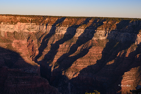 Grand Canyon NP Oct 2020-9