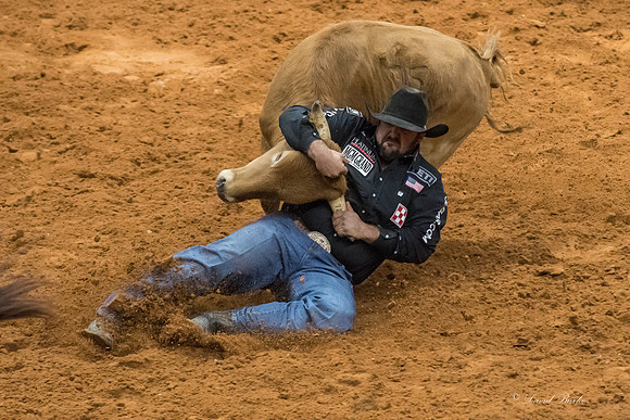 Stock Show 2018-18