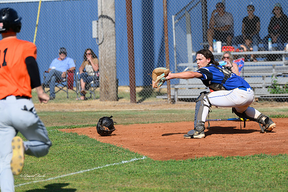 Union City Tigers 9-9-24-19