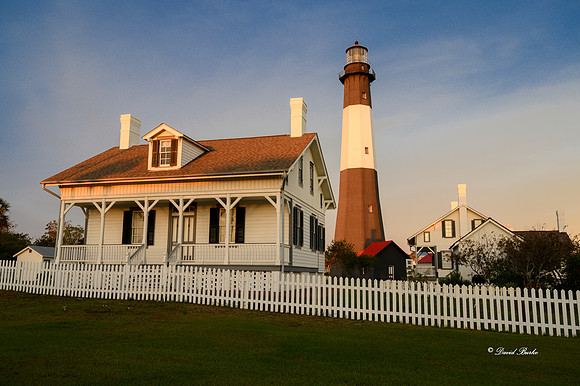 Savannah 2019-1