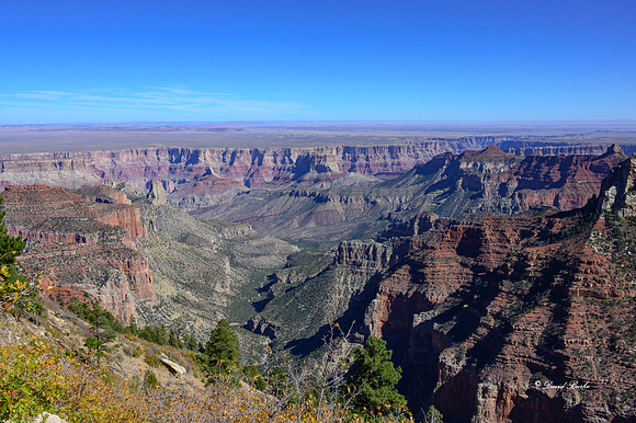 Grand Canyon NP Oct 2020-32