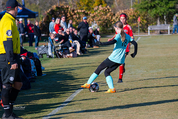 AFA Fillies Oct 2024-17