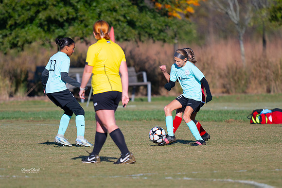 AFA Fillies Oct 2024-13