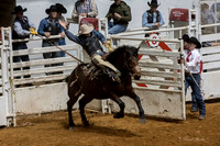 Stock Show 1-27-17-45