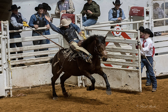 Stock Show 1-27-17-45