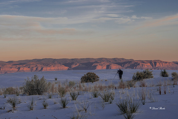 Bosque del Apache 2019-172
