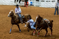 Stock Show 1-27-17-31