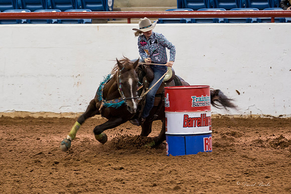 Stock Show 2-3-15-64