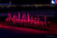 Stock Show 1-27-17-4