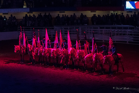 Stock Show 1-27-17-4