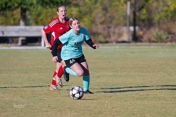 AFA Fillies Oct 2024-4
