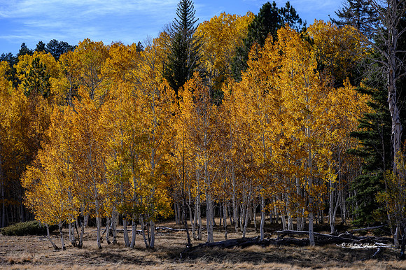 Grand Canyon NP Oct 2020-2