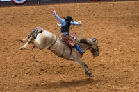 Stock Show 2018-26