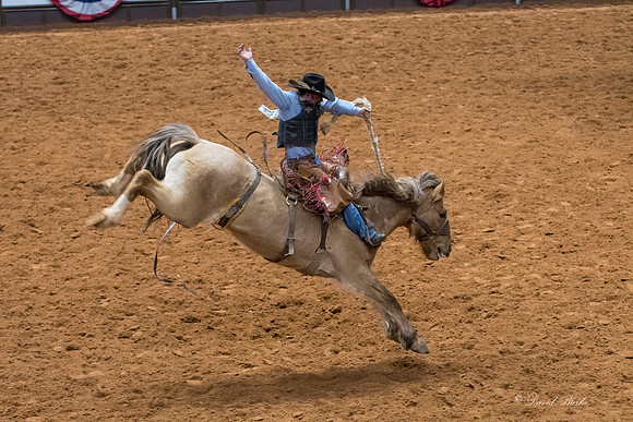 Stock Show 2018-26