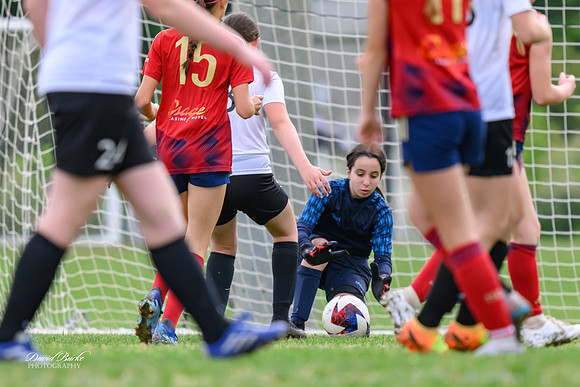 AFA Fillies May 2024-11