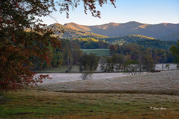 Fall Color 2019-1