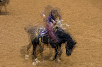 Stock Show 2018-32