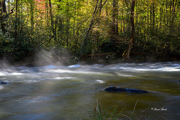 Fall Color 2019-9