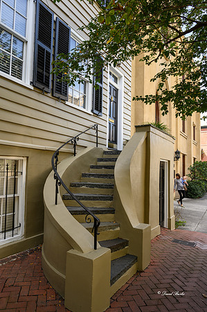 Savannah 2019-43