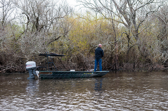 Swamp -8
