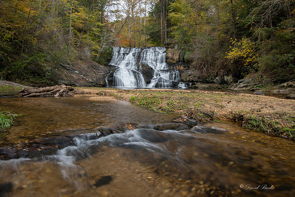 North GA fall 2017-62