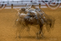 Stock Show 2018-2