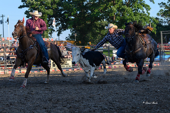 Hamel Rodeo-38