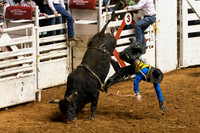 2014 Stock Show Rodeo-120