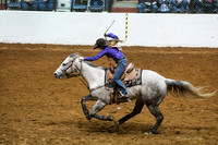 2014 Stock Show Rodeo-91
