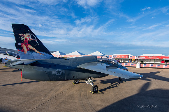 Alliance Air Show 2017-113
